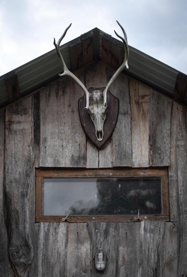 Hotel Glamping Fluffy Horns - Glempings Pukainie Ragi Plieņciems Esterno foto