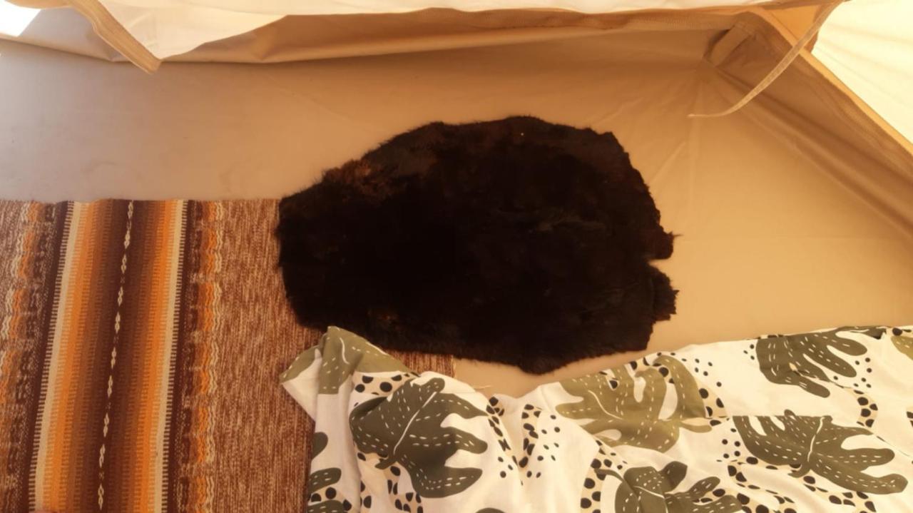 Hotel Glamping Fluffy Horns - Glempings Pukainie Ragi Plieņciems Esterno foto