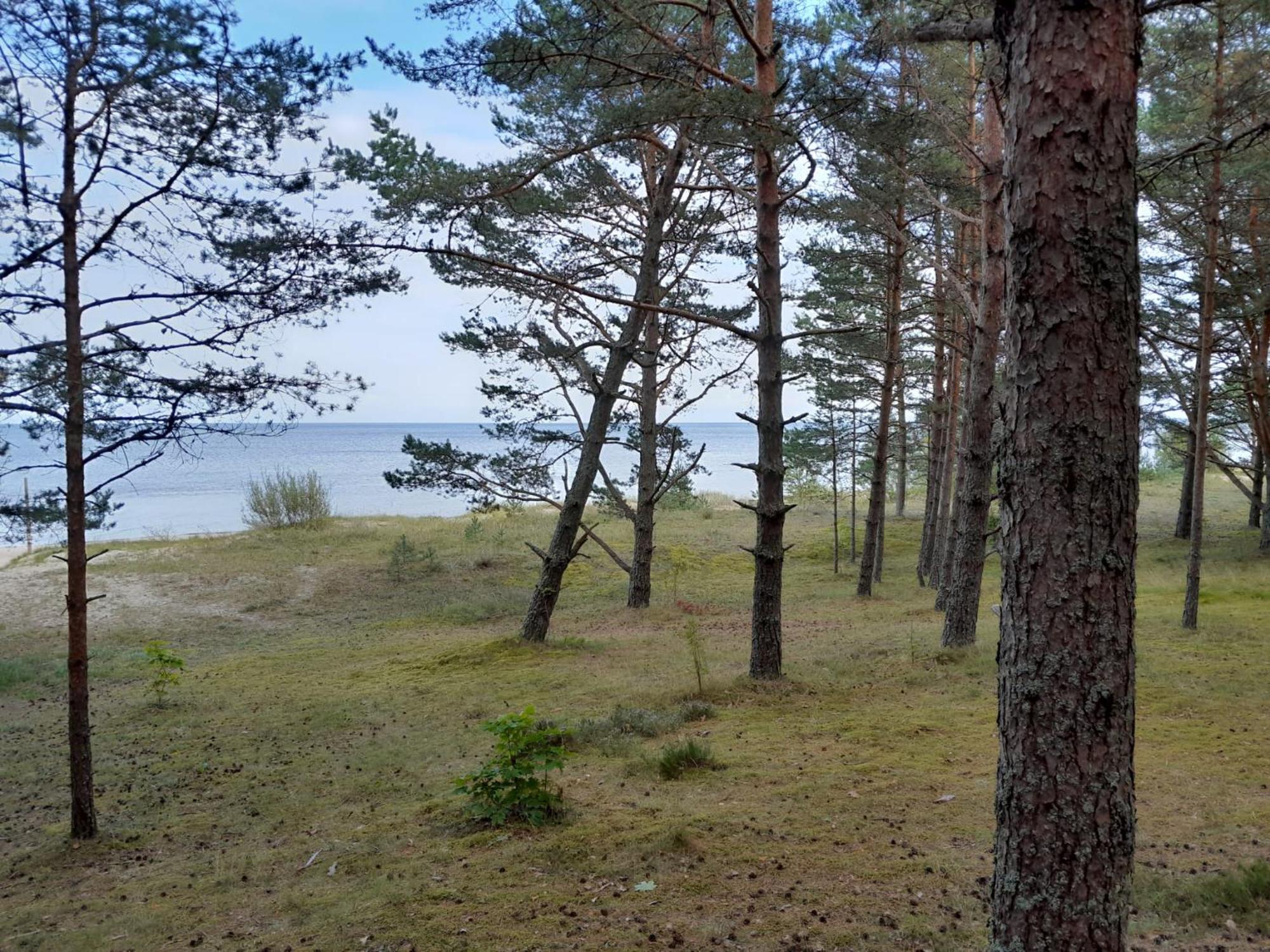 Hotel Glamping Fluffy Horns - Glempings Pukainie Ragi Plieņciems Esterno foto